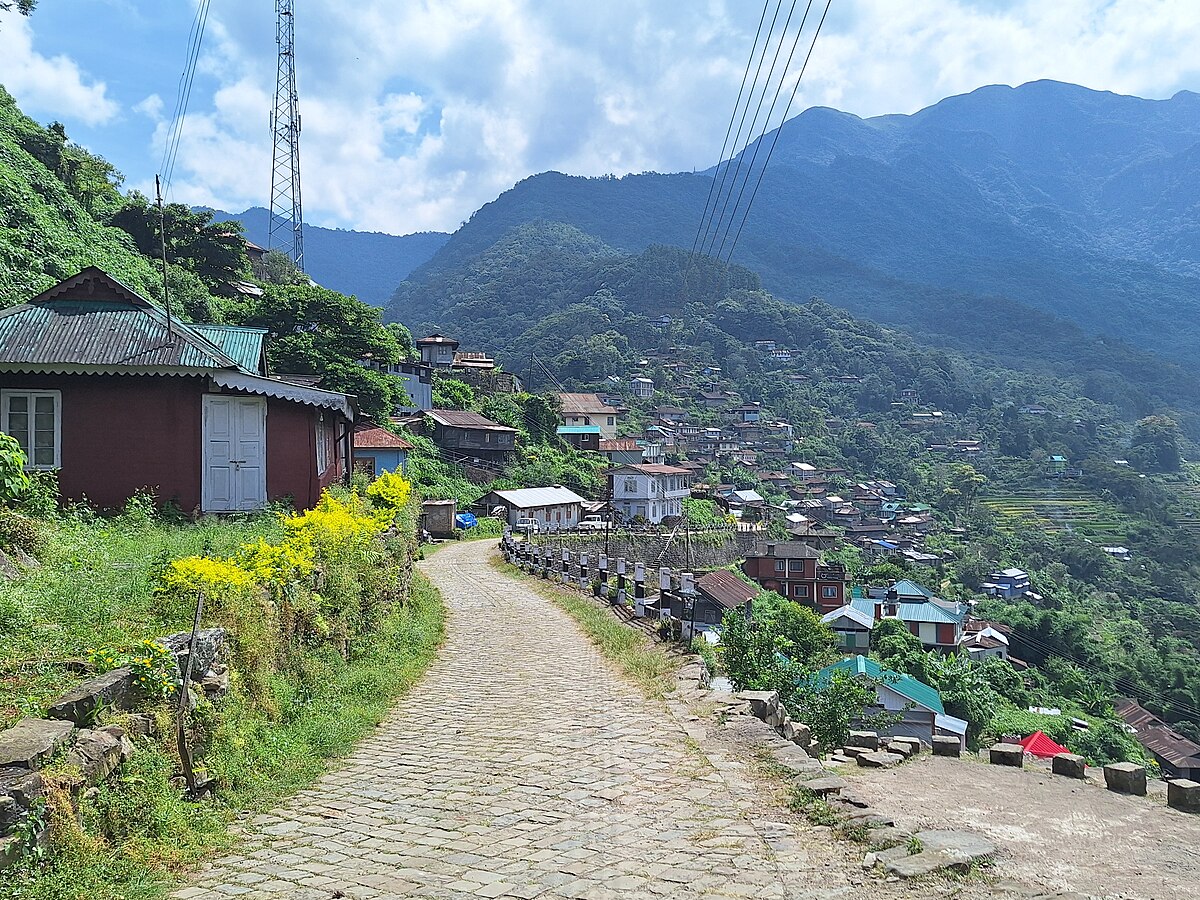 nagaland tour